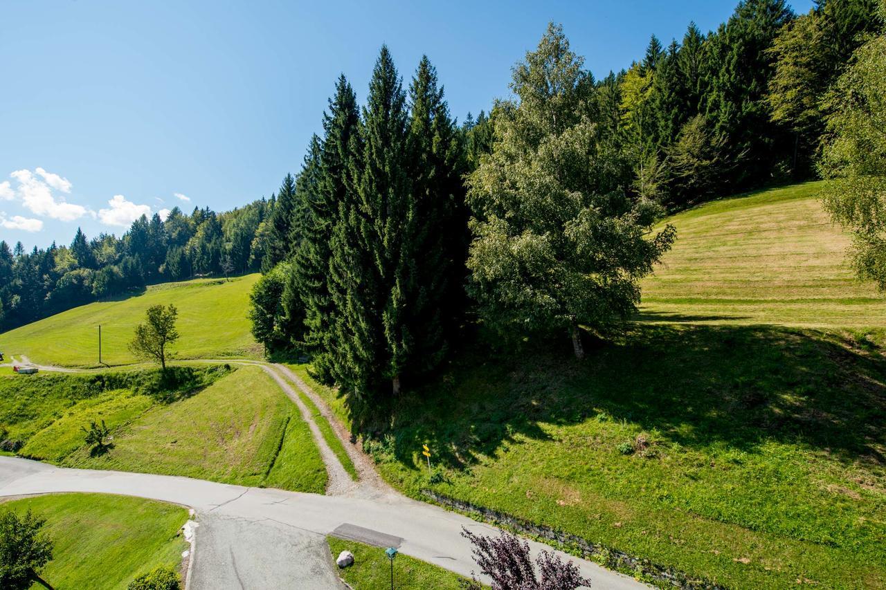 Panoramahotel Hauserhof Hermagor Exteriör bild